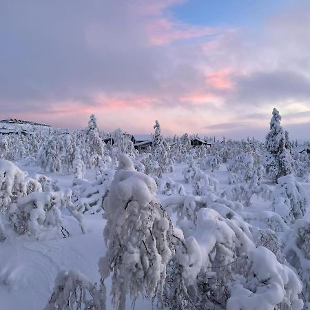 Villa Haukka 萨利色尔卡 外观 照片