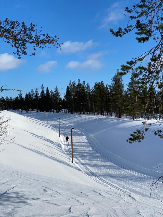 Villa Haukka 萨利色尔卡 外观 照片